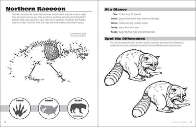 Animals and Skeletons Activity Book