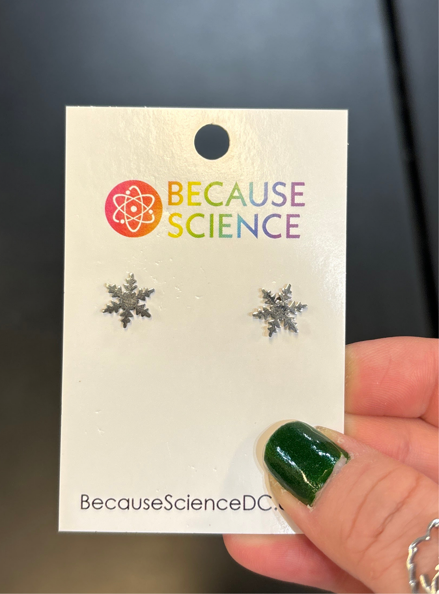 Snowflake Post Earrings (metal)