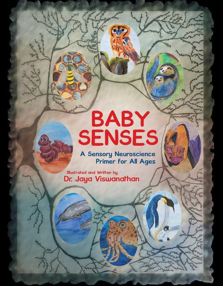 Baby Senses by Dr. Jaya Viswanathan