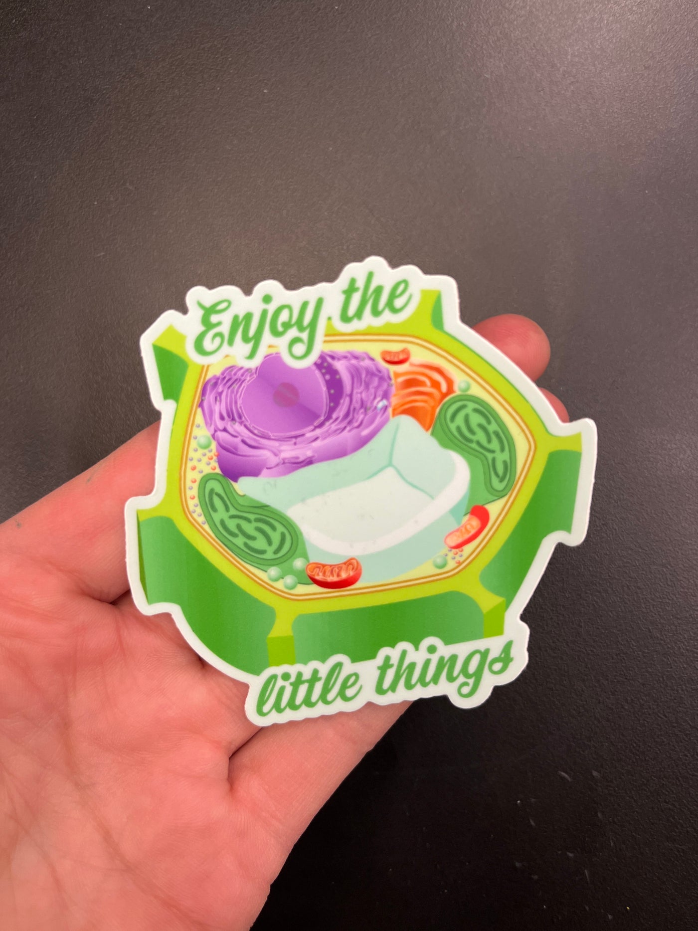 Enjoy the Little Things - Vinyl Sticker