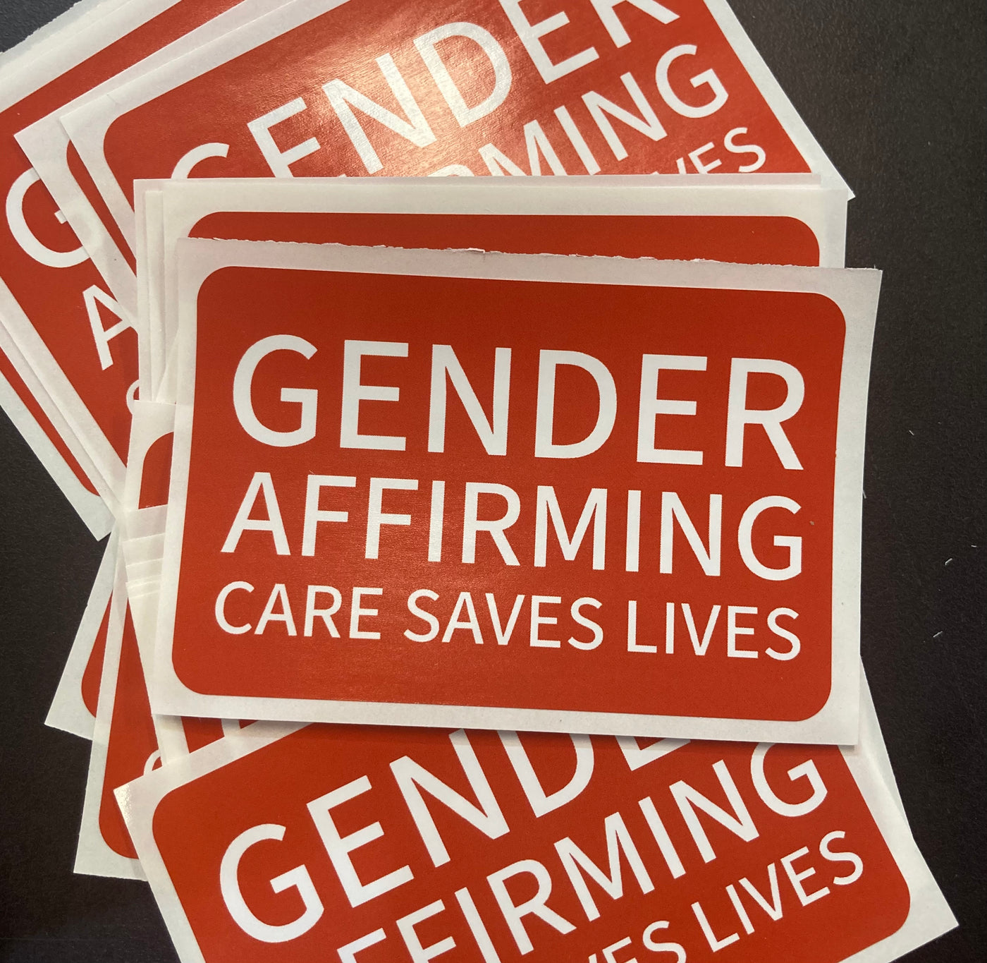 Gender Affirming Care Saves Lives - Vinyl Sticker