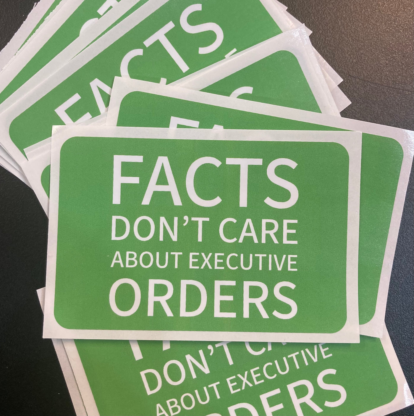 Facts Don't Care About Executive Orders - Vinyl Sticker