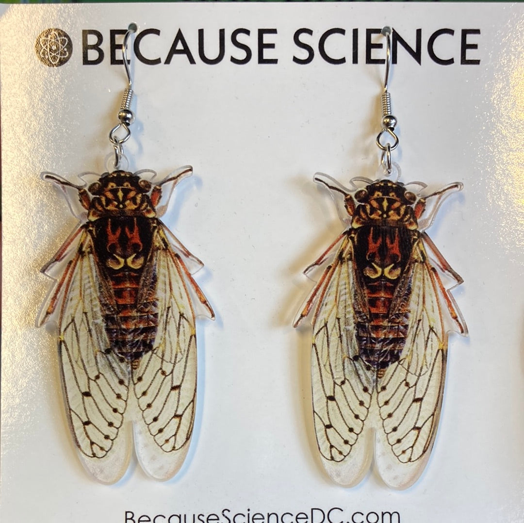 Acrylic Cicada Earrings