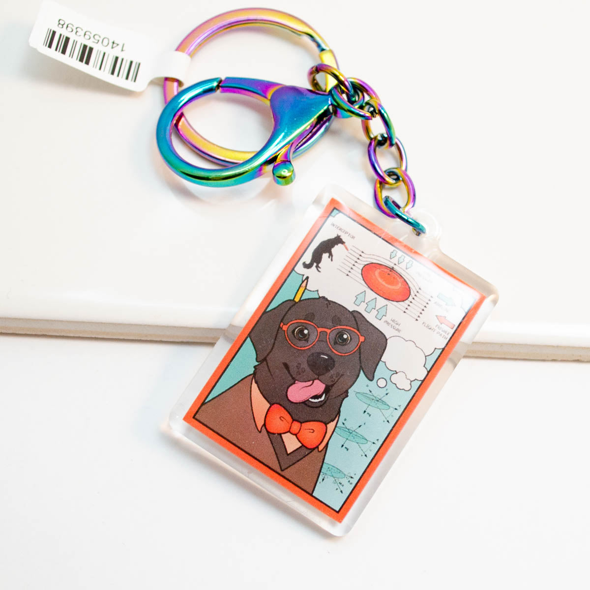 The STEM Dogs: Black Lab Physics - Acrylic Keychain – Because Science