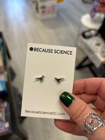 Raptor Post Earrings