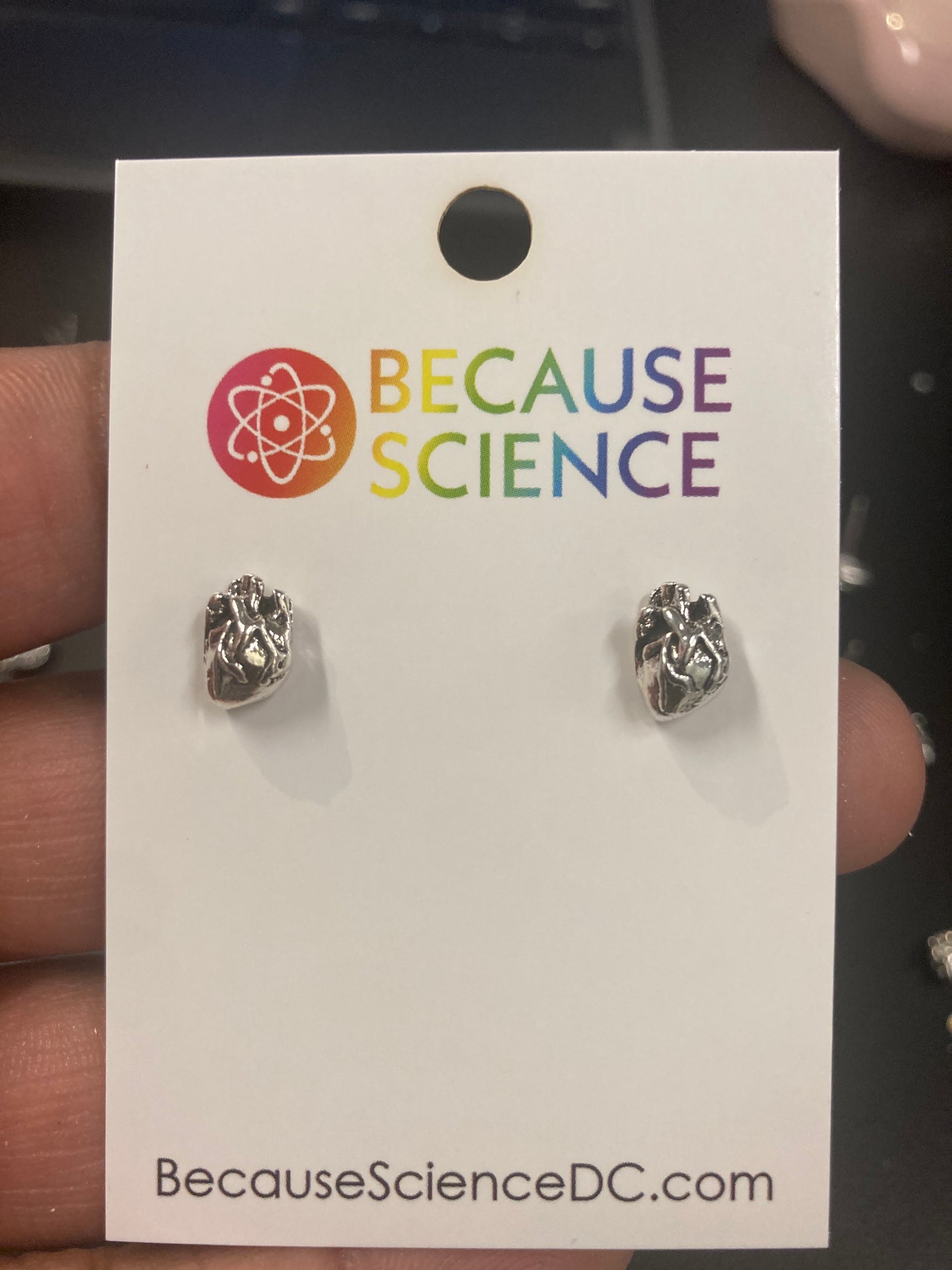 Anatomical Heart Post Earrings