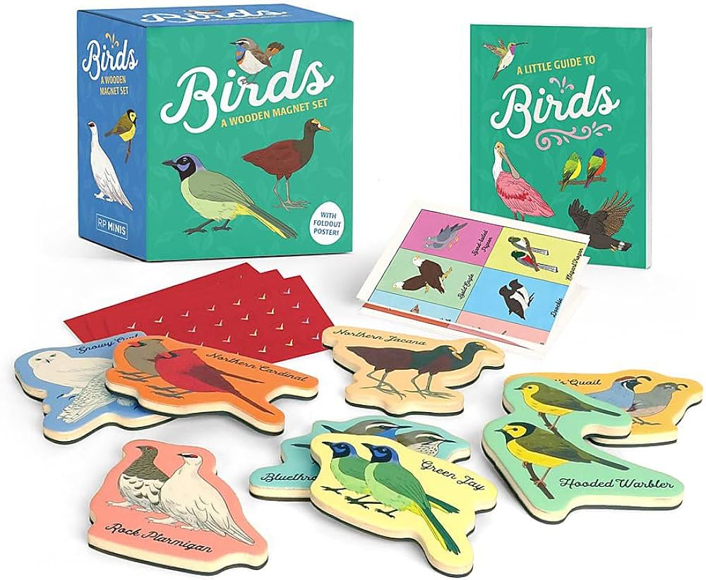 Mini Birds: A Wooden Magnet Set