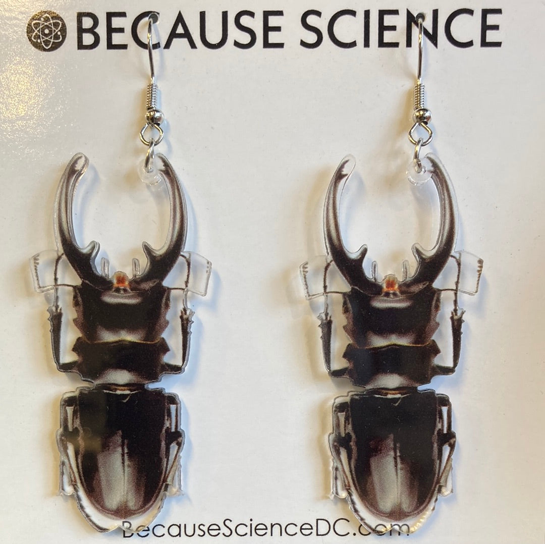 Acrylic Beetle Earrings