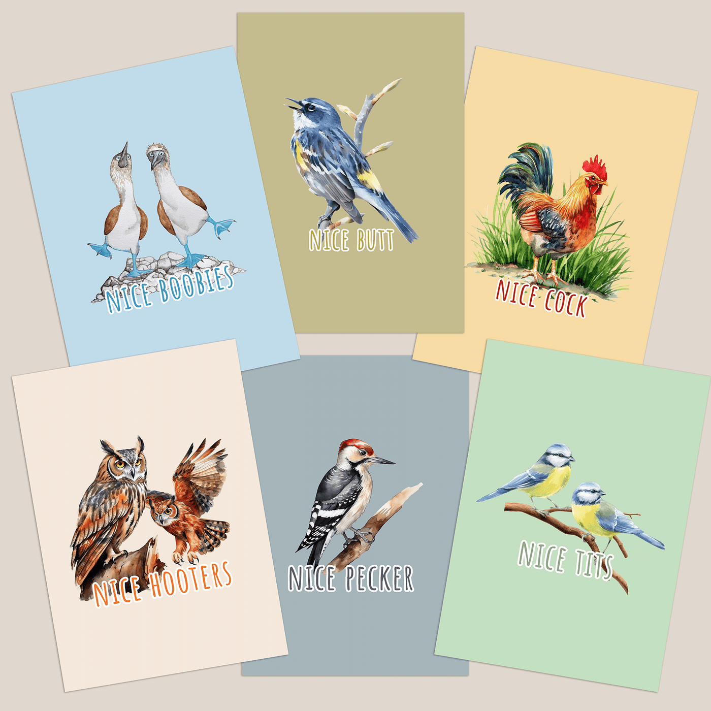 Nice (rude bird series) - set of 6 Greeting Cards
