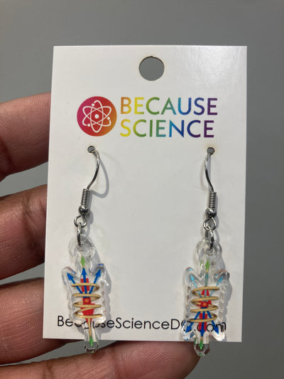 The Wu Experiment - Acrylic Dangle Earrings