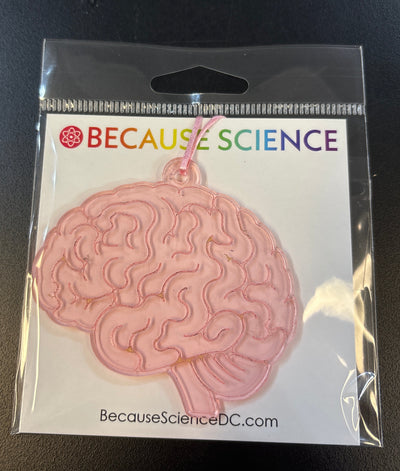 Sagittal Brain - Transparent Pink Acrylic Ornamental Decoration