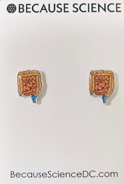 Intestines - Acrylic Post Earrings