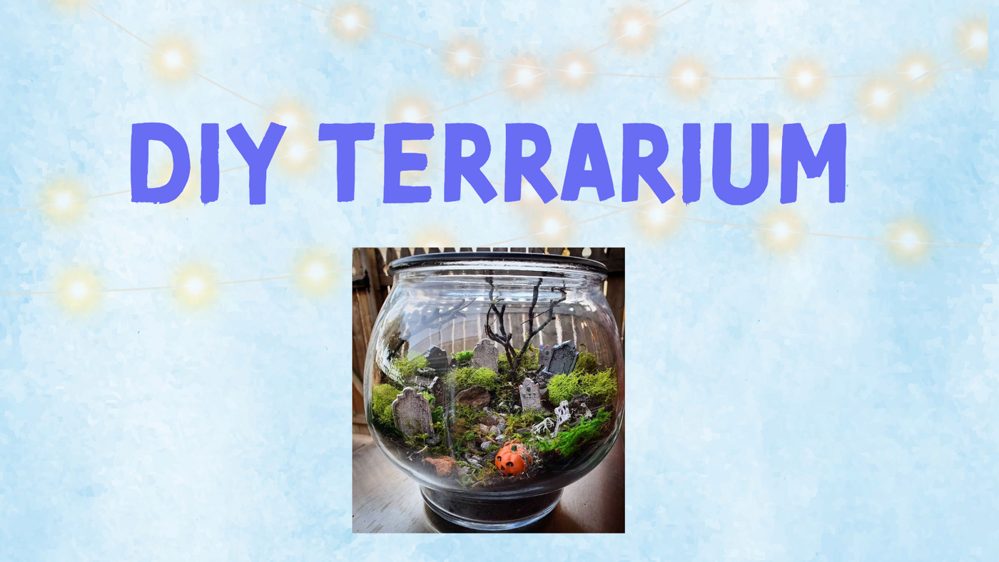 DIY Terrarium Nov 15, 11:30-1:30pm