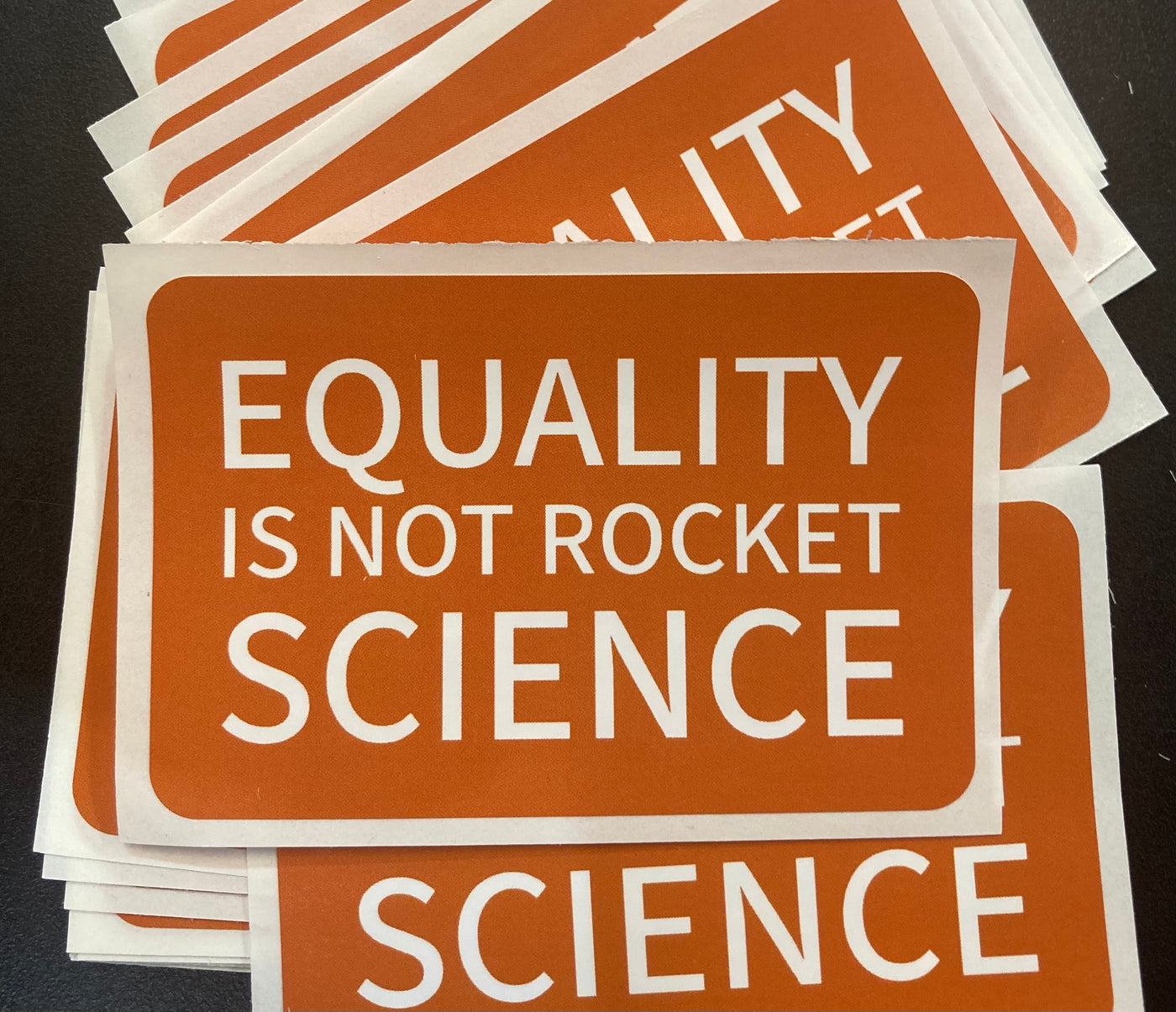 Equality is Not Rocket Science - Vinyl Sticker