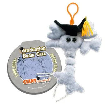 Peluche De Célula Cerebral – Microbio Educativo De 25 Cm Para Estudiantes Y Amantes De La Ciencia
