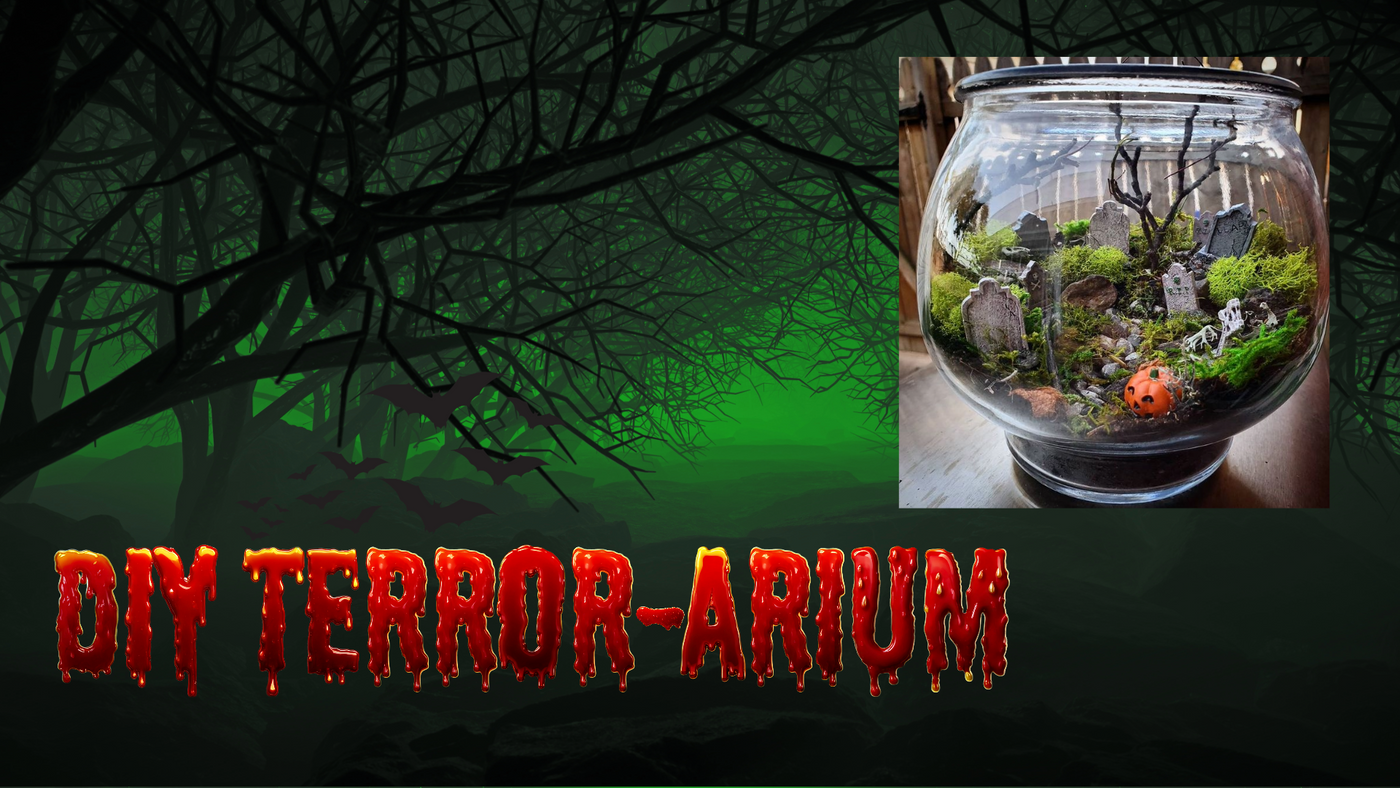 DIY Terror-arium Oct 10, 3-5pm