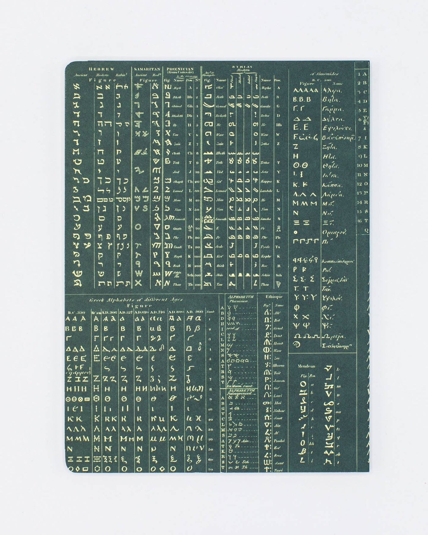 Linguistics Vintage Softcover Notebook - Lined