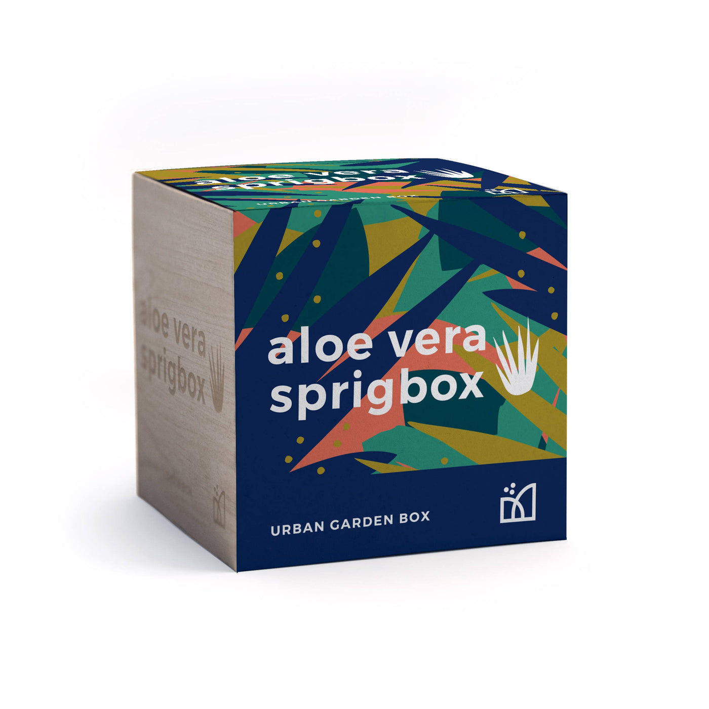Aloe Vera Grow Kit | Wooden Planter