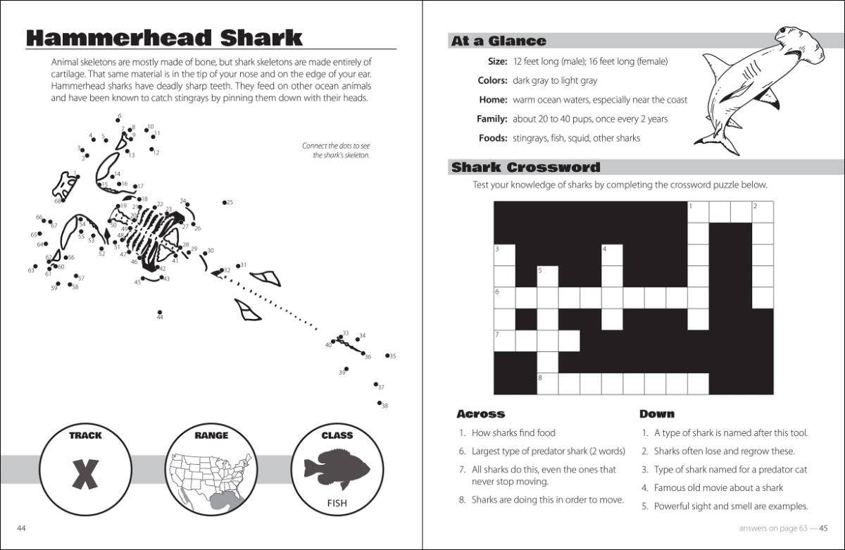 Animals and Skeletons Activity Book