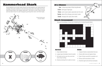 Animals and Skeletons Activity Book