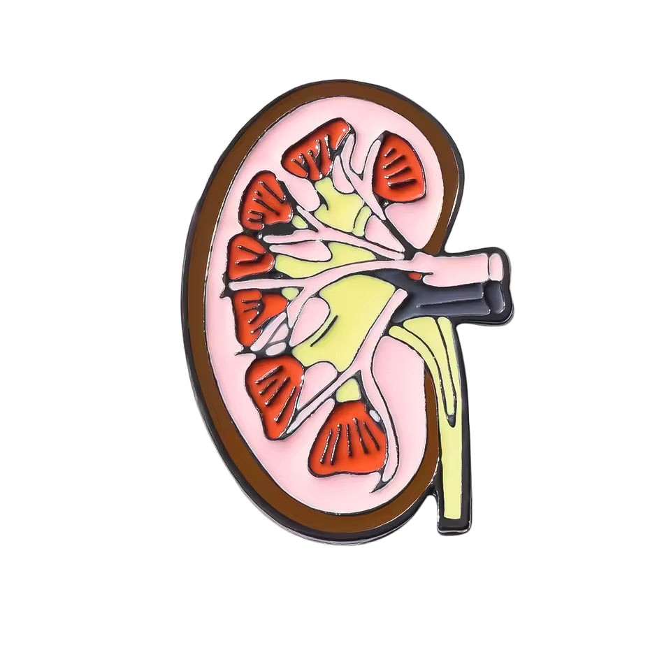 Anatomical Kidney Enamel Pin