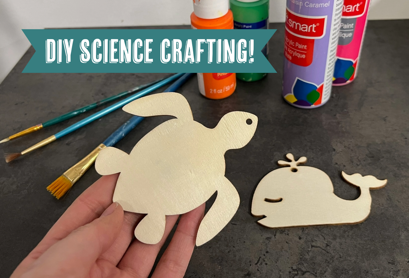 Ocean Painted Ornaments July 5, 12:30-2:30pm