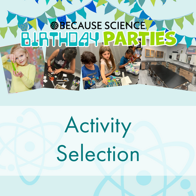 Birthday Party Activity Selection