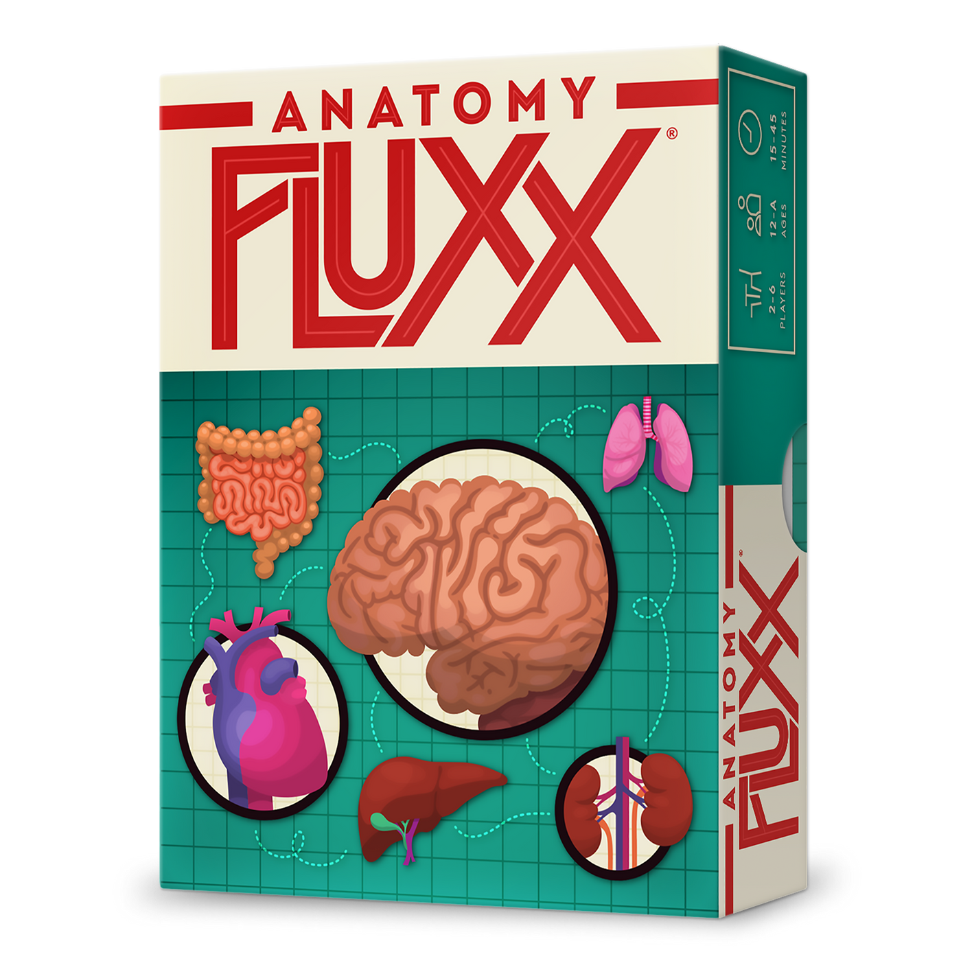 Anatomy Fluxx Game