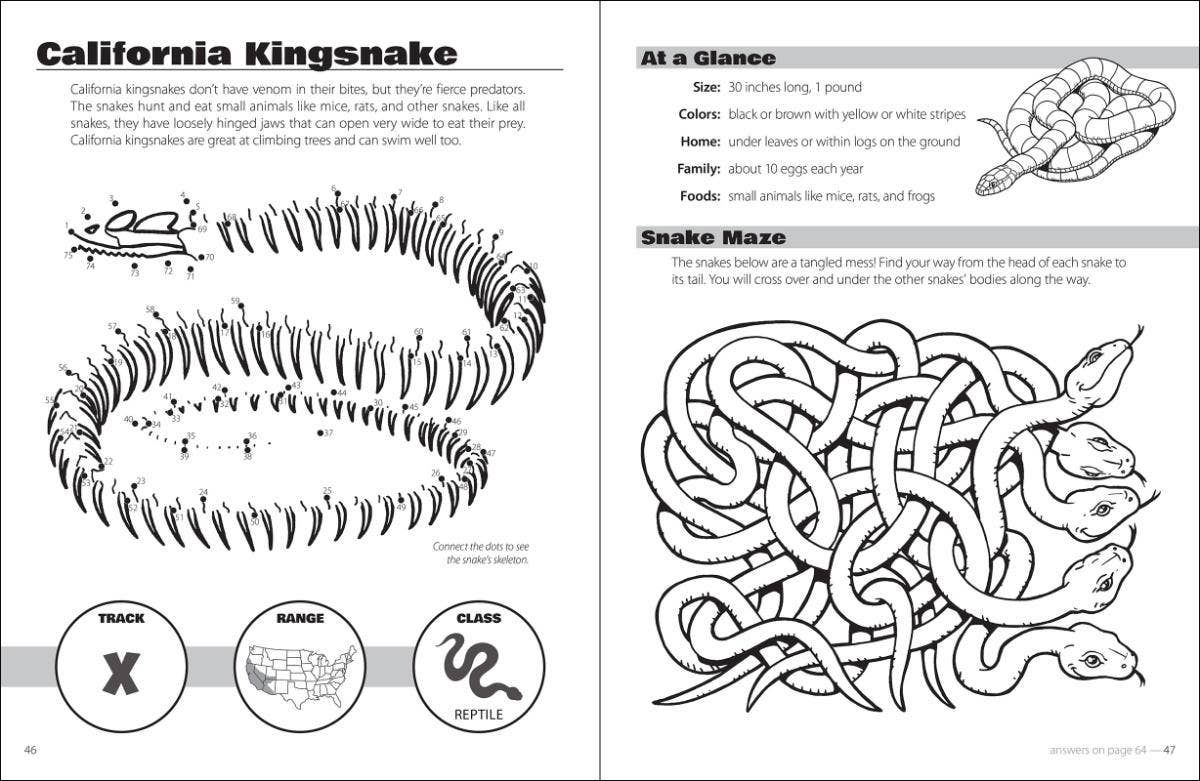 Animals and Skeletons Activity Book