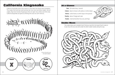 Animals and Skeletons Activity Book