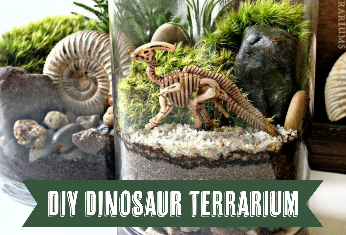 DIY Dinosaur Terrarium Aug 31, 1-3pm