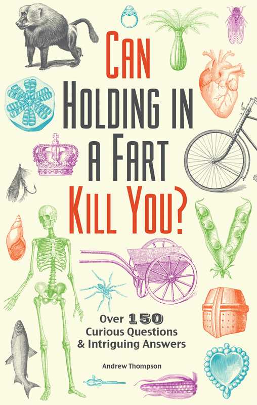 Can Holding in a Fart Kill You? by Andrew Thompson