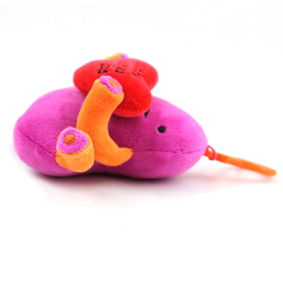 Kidney Bag Charm - 4.5" Plush Keychain
