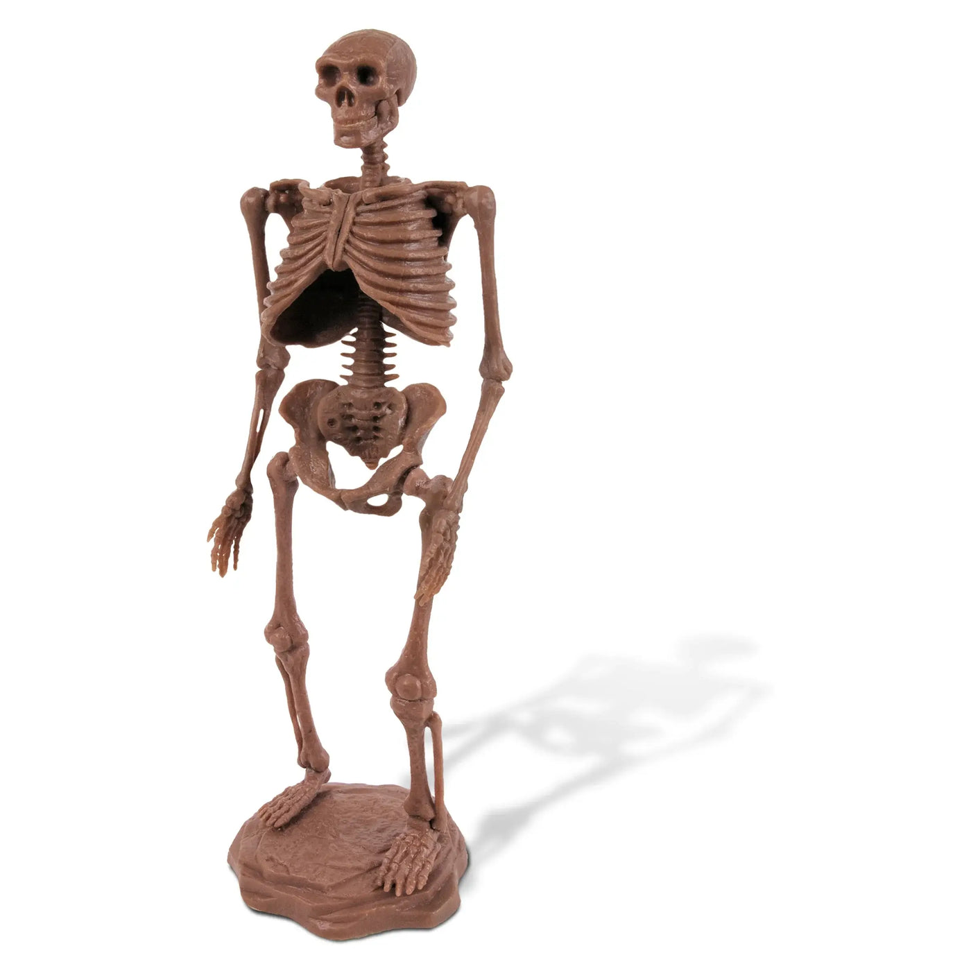 GEOWorld Cave Man Excavation Kit - Homo Neanderthalensis Skeleton