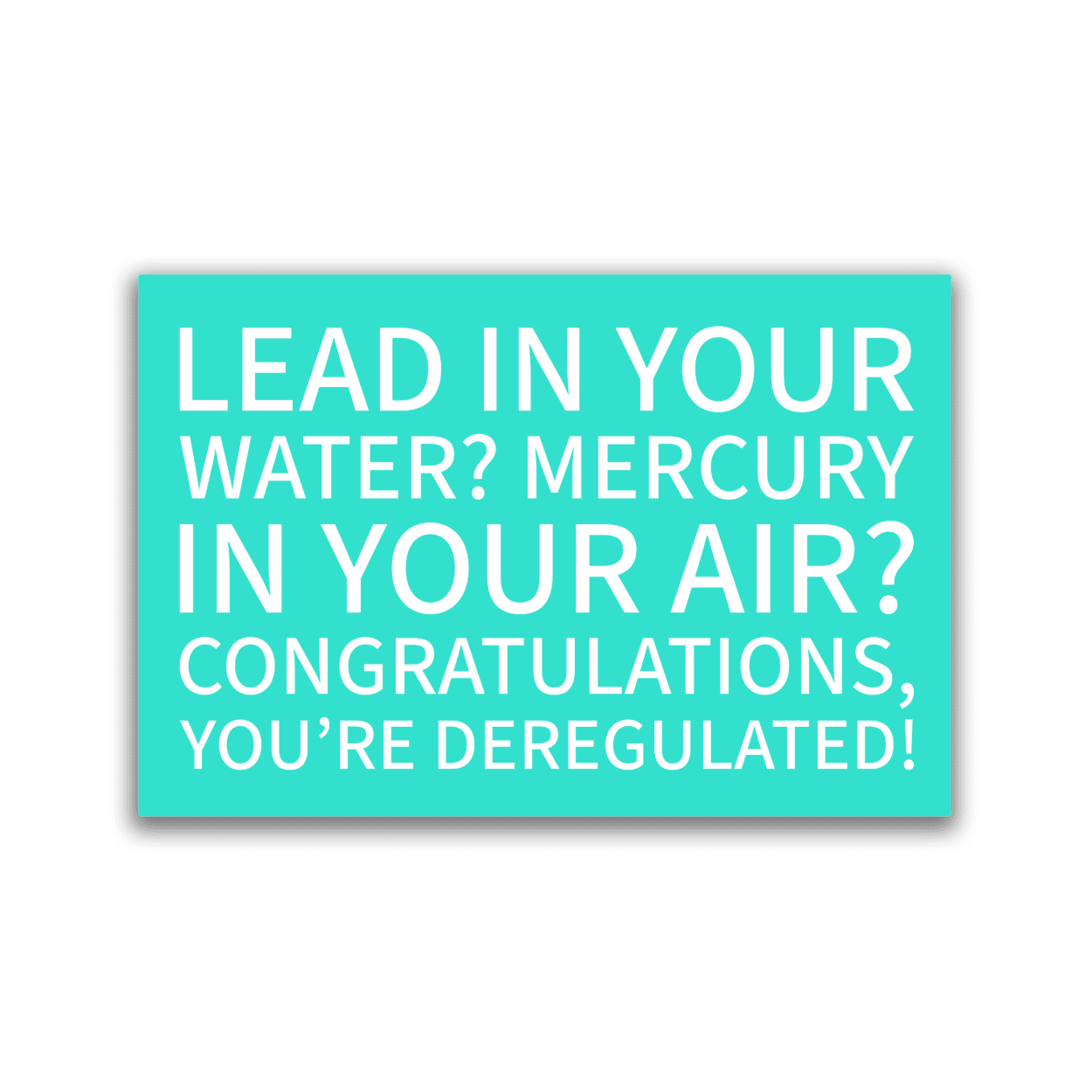 Congratulations, You're Deregulated! - 2x3 Magnet