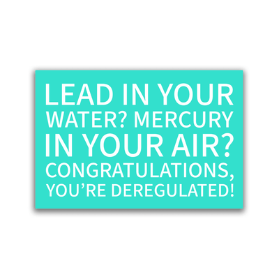 Congratulations, You're Deregulated! - 2x3 Magnet