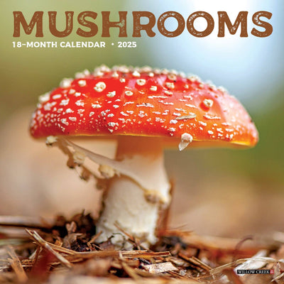 Mushrooms Mini Wall Calendar