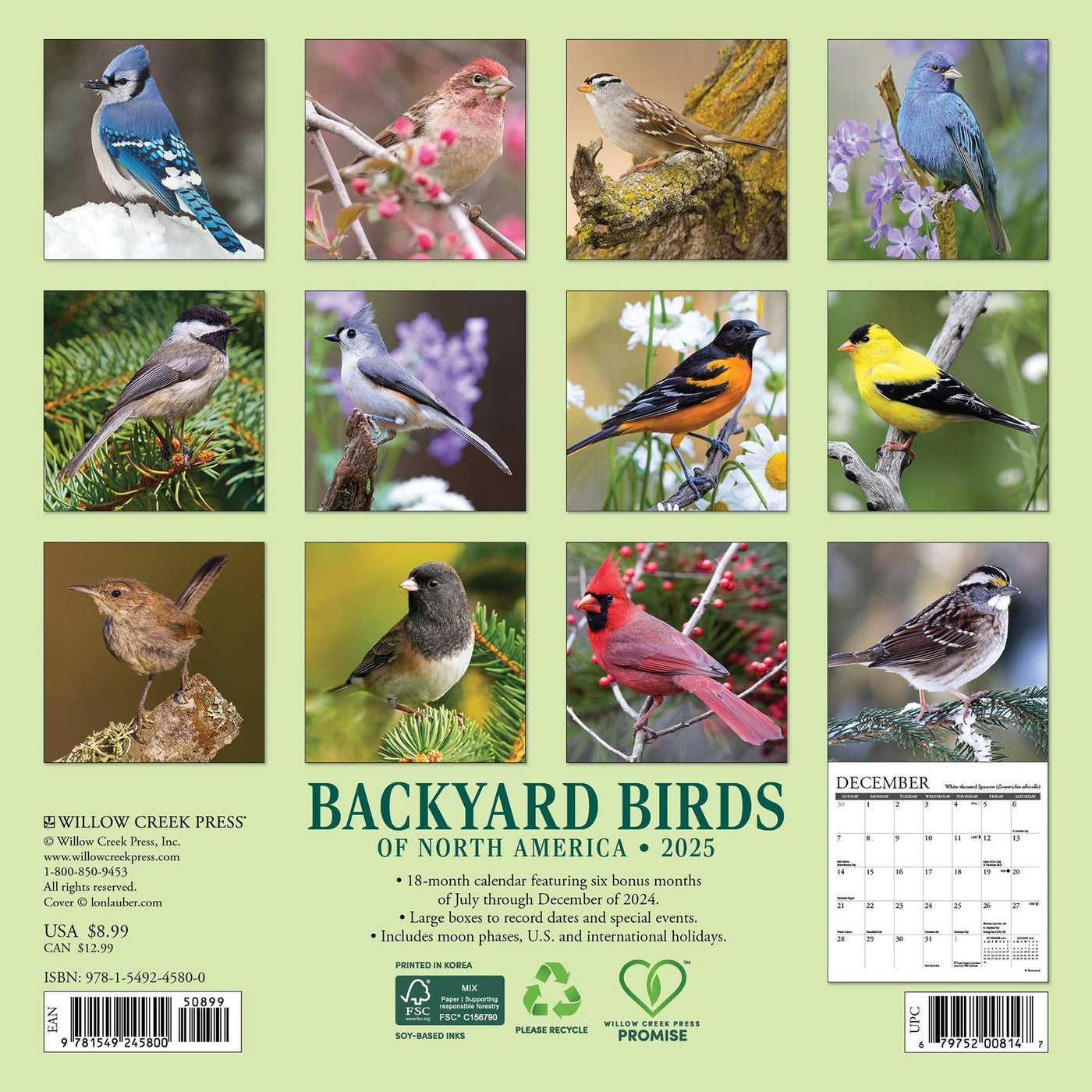 Backyard Birds of North America - Mini Wall Calendar