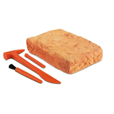 GEOWorld Cave Man Excavation Kit - Homo Neanderthalensis Skeleton