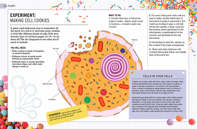 The Biology of Bananas by Dr. Katie Steckles