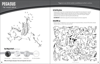 Constellations Activity Book