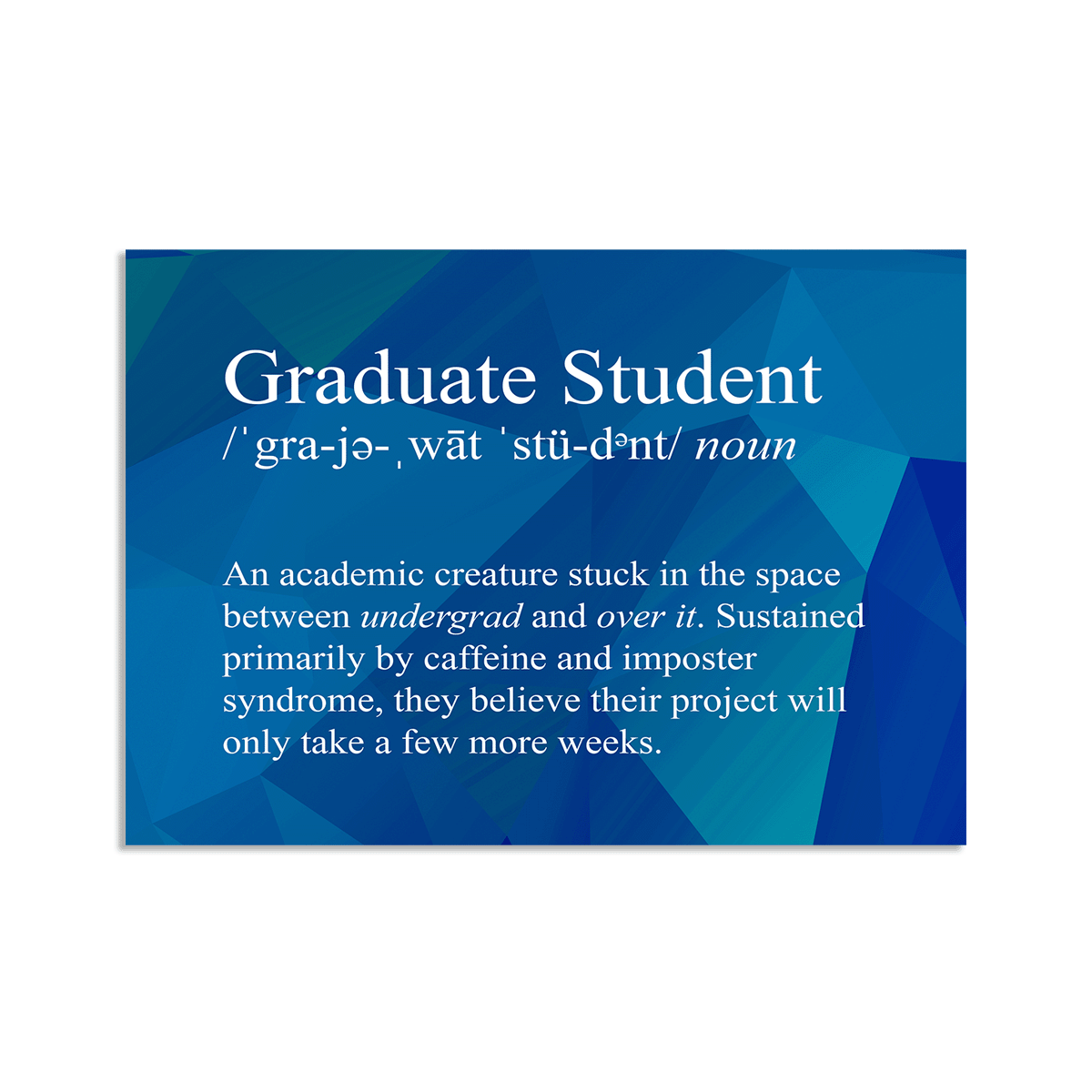 Graduate Student Snarky Definition - Vinyl Sticker