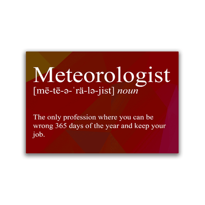 Meteorologist Snarky Definition - 2x3 Magnet