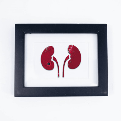 Kidneys Circuit Board Art - Mini
