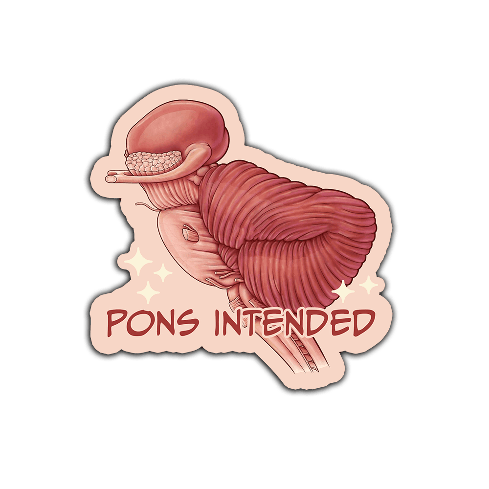 Pons Intended - Vinyl Sticker