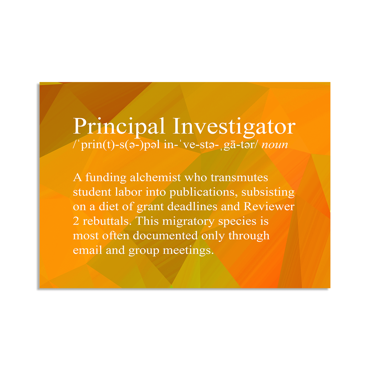 Principal Investigator Snarky Definition - Vinyl Sticker