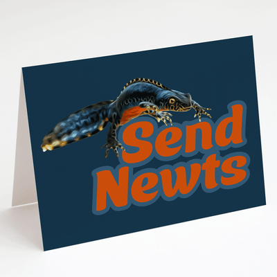 Send Newts Greeting Card