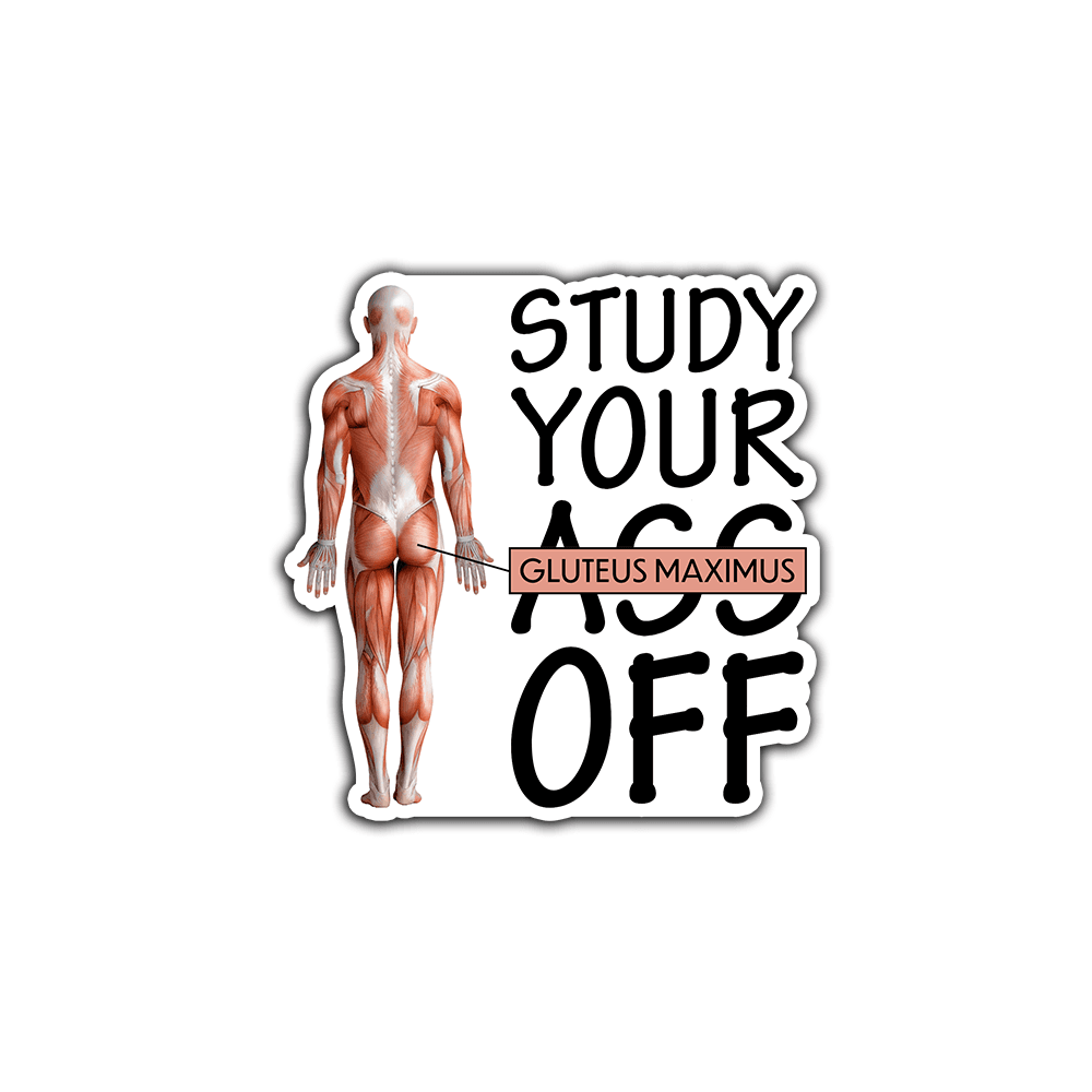 Study Your Gluteus Maximus Off - Vinyl Sticker