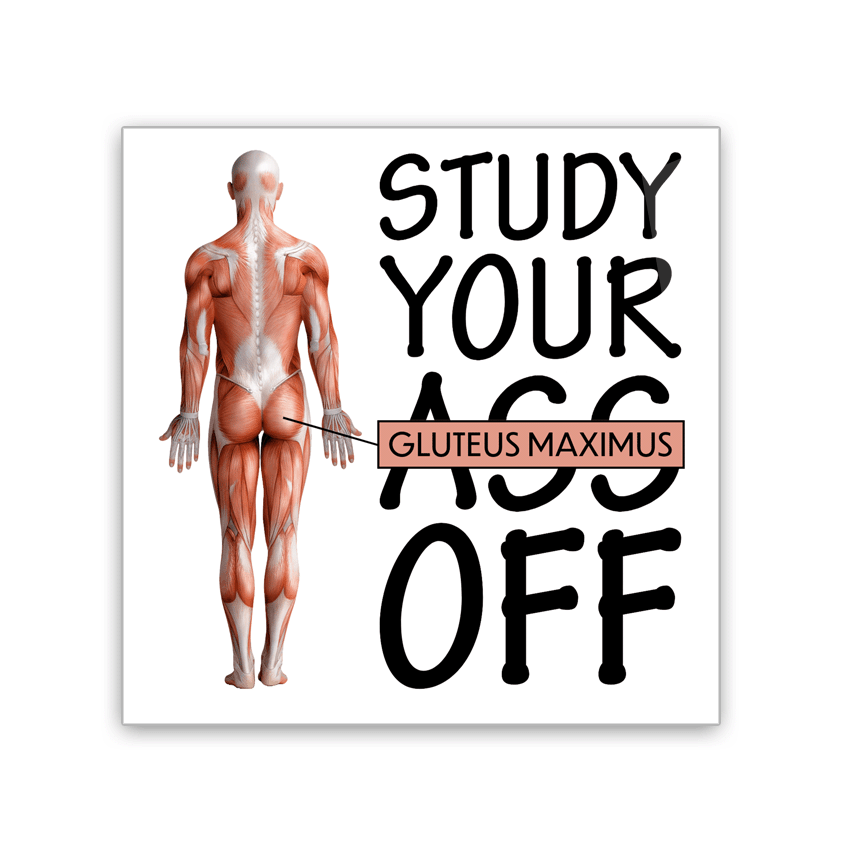 Study Your Gluteus Maximus Off - 2x2 Magnet