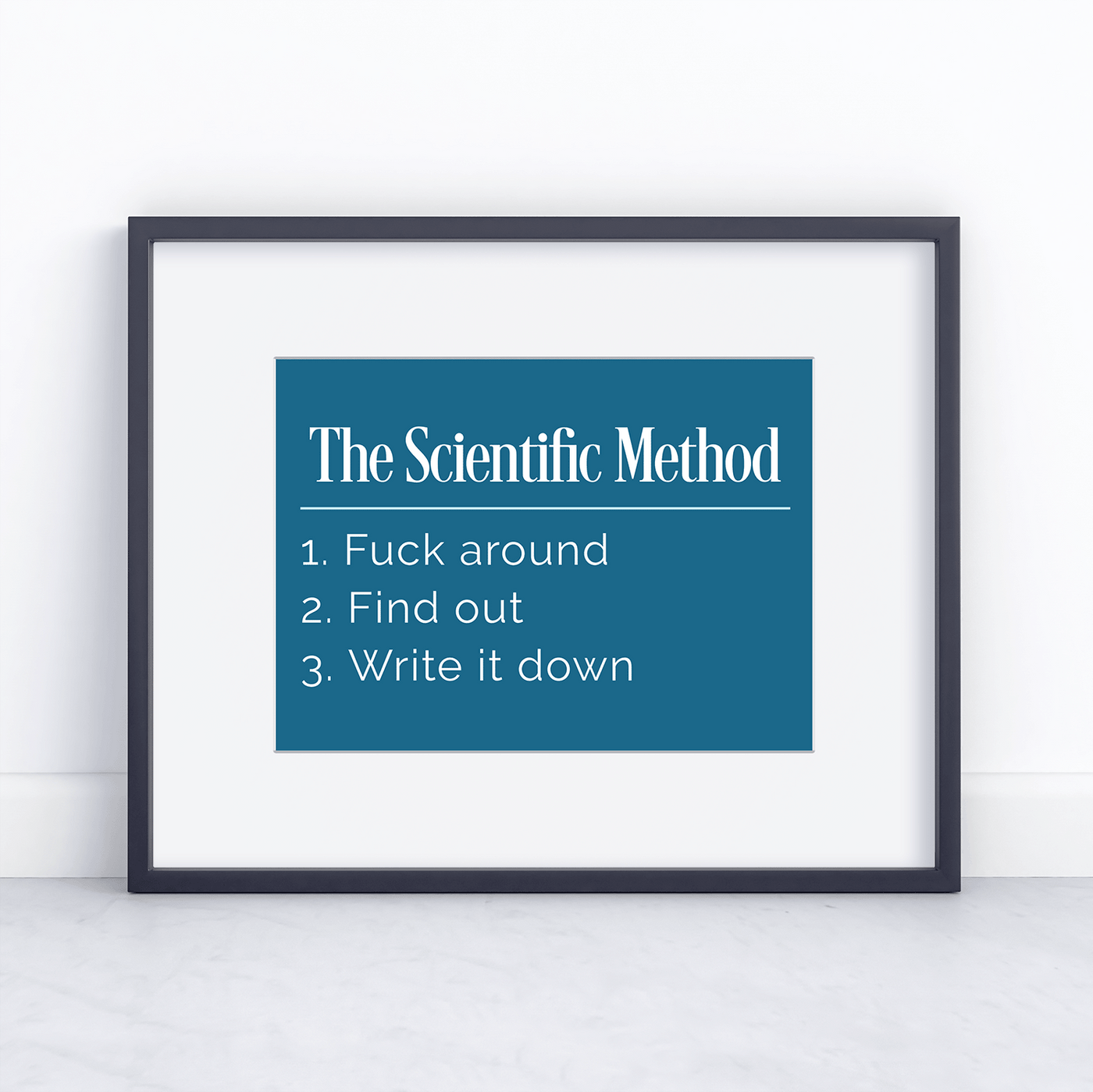 The Scientific Method Snarky Definition -  5x7 matted to 8x10 Print - Ready for Framing